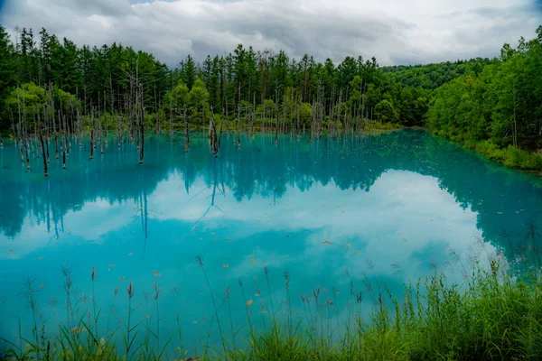 Platinum Blue Pond Hokkaido Biei Cho Shooting Location Hokkaido Biei — Stock Photo, Image