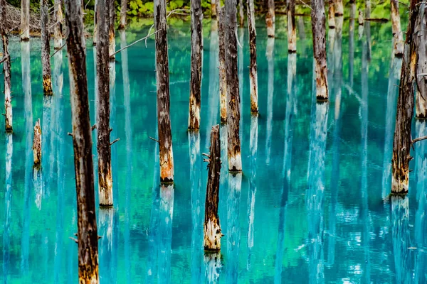 Platinum Blue Pond Hokkaido Biei Cho Shooting Location Hokkaido Biei — Stock Photo, Image