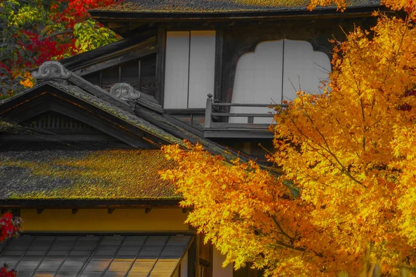 Vivid autumn colors and the Japanese house. Shooting Location: Yokohama-city kanagawa prefecture