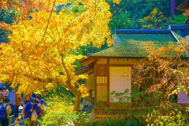 Canlı sonbahar renkleri ve Japon evi. Çekim yeri: Yokohama-şehir kanagawa ili