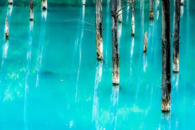 Platin mavi gölet (Hokkaido Biei-cho). Çekim Konumu: Hokkaido Biei-cho