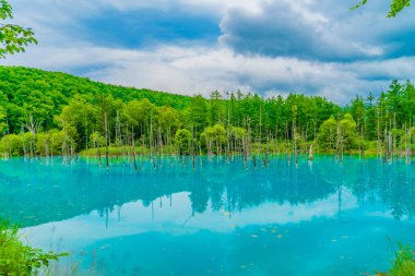 Platin mavi gölet (Hokkaido Biei-cho). Çekim Konumu: Hokkaido Biei-cho