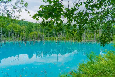 Platin mavi gölet (Hokkaido Biei-cho). Çekim Konumu: Hokkaido Biei-cho