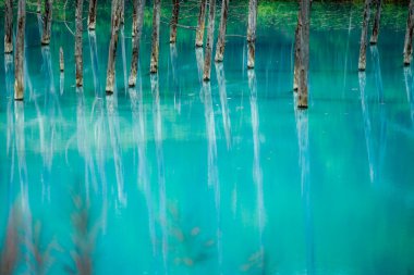 Platin mavi gölet (Hokkaido Biei-cho). Çekim Konumu: Hokkaido Biei-cho