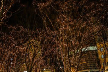 Sendai Işığı Gösterisinin Aydınlanması. Çekim yeri: Sendai, Miyagi Bölgesi