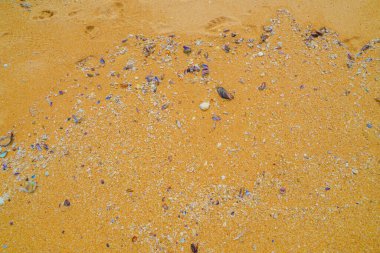 Kumsalda (Tayland) tükürüyor. Çekim yeri: Tayland, Pattaya