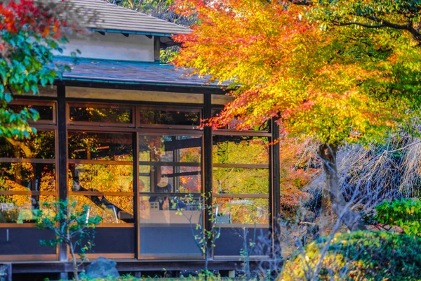 Bunte Herbstblätter Und Japan Housing Drehort Großraum Tokio — Stockfoto