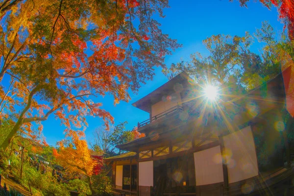 Cores Vivas Outono Casa Japonesa Localização Tiroteio Prefeitura Yokohama City — Fotografia de Stock