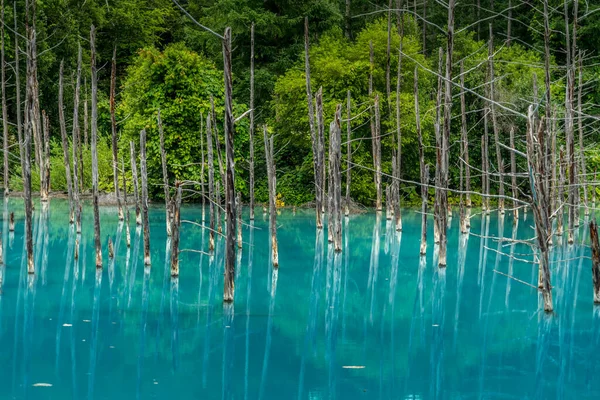 Platin mavi gölet (Hokkaido Biei-cho). Çekim Konumu: Hokkaido Biei-cho