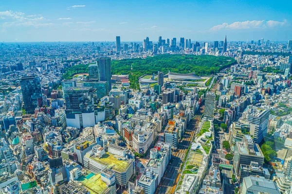 Horizonte Shinjuku Observatório Shibuya Sky Localização Tiroteio Tóquio Área Metropolitana — Fotografia de Stock