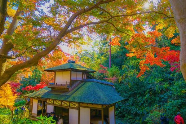 生机勃勃的秋天色彩和日本的房子 射击地点 横滨市神奈川县 — 图库照片