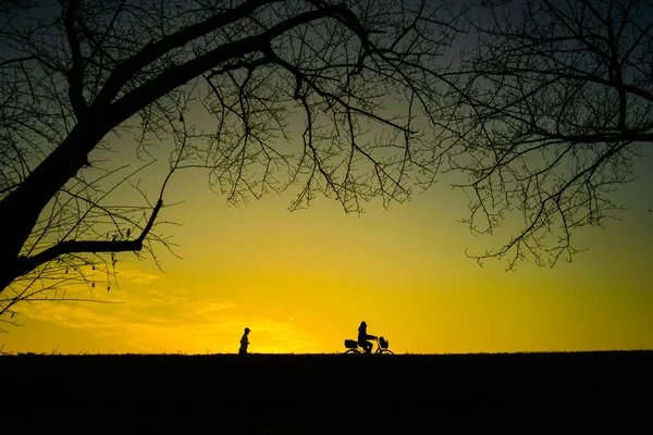 Evening Silhouette River Bed Komae City Shooting Location Tokyo Komae — Stock Photo, Image