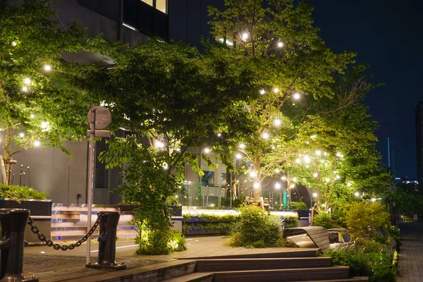 Imagem Iluminação Uma Árvore Simples Localização Tiroteio Prefeitura Yokohama City — Fotografia de Stock