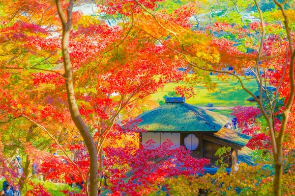 Яркие Осенние Цвета Японский Дом Место Стрельбы Префектура Йокогама Город — стоковое фото