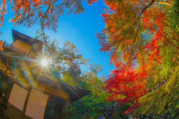 Lebendige Herbstfarben Und Das Japanische Haus Drehort Yokohama Stadt Kanagawa — Stockfoto