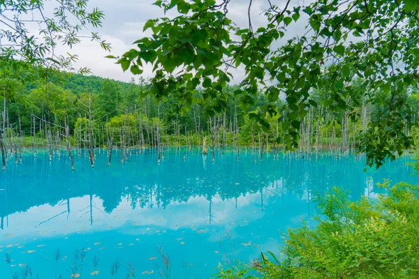 Platin mavi gölet (Hokkaido Biei-cho). Çekim Konumu: Hokkaido Biei-cho