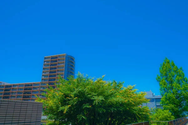 Barrio Principios Del Verano Del Centro Tama Ubicación Del Disparo — Foto de Stock