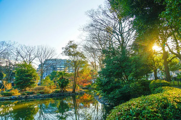 Sonbahar Yaprakları Arisugawa Parkı Çekim Yeri Tokyo Büyükşehir Bölgesi — Stok fotoğraf