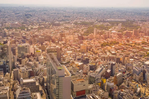 Vista Dall Osservatorio Shibuya Sky Luogo Delle Riprese Area Metropolitana — Foto Stock