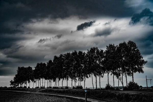 Zeven Sterren Van Boom Hokkaido Biei Cho Schietplaats Hokkaido Biei — Stockfoto