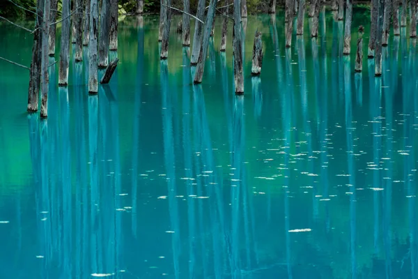 Stagno Blu Platino Hokkaido Biei Cho Luogo Delle Riprese Hokkaido — Foto Stock