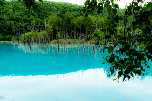 Platin mavi gölet (Hokkaido Biei-cho). Çekim Konumu: Hokkaido Biei-cho