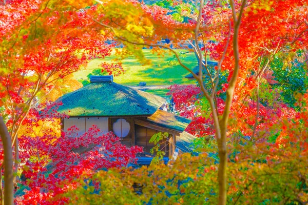 Żywe Kolory Jesieni Japoński Dom Strzelanie Lokalizacja Yokohama City Prefektura — Zdjęcie stockowe