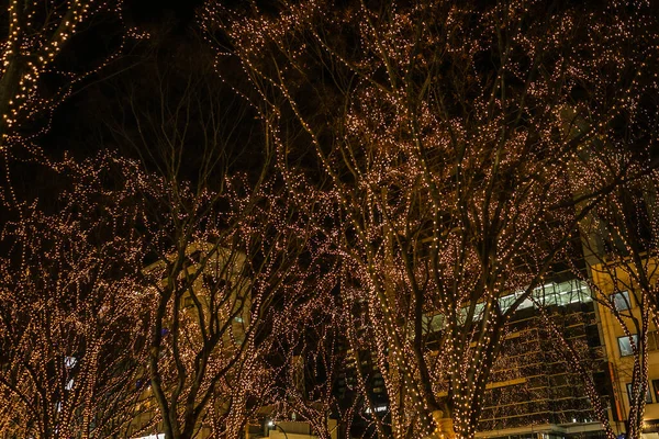 Sendai Işığı Gösterisinin Aydınlanması. Çekim yeri: Sendai, Miyagi Bölgesi