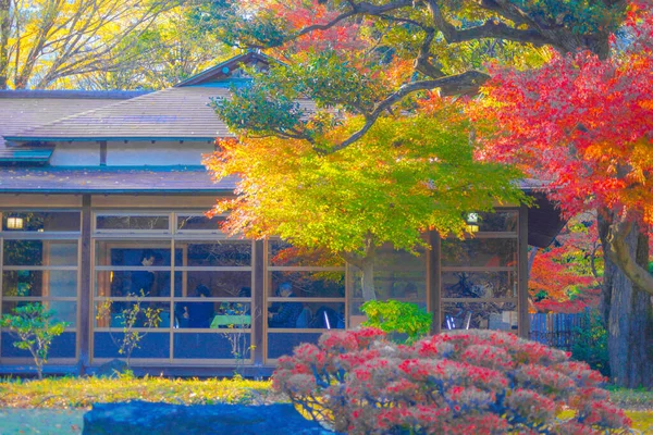 Bunte Herbstblätter Und Japan Housing Drehort Großraum Tokio — Stockfoto