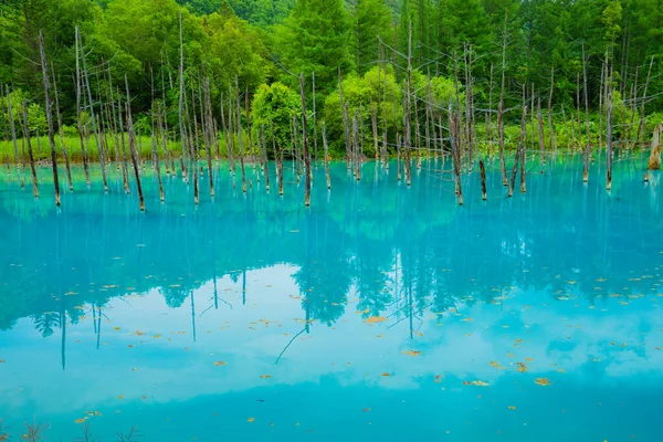 Platinblauer Teich Hokkaido Biei Cho Drehort Hokkaido Biei Cho — Stockfoto