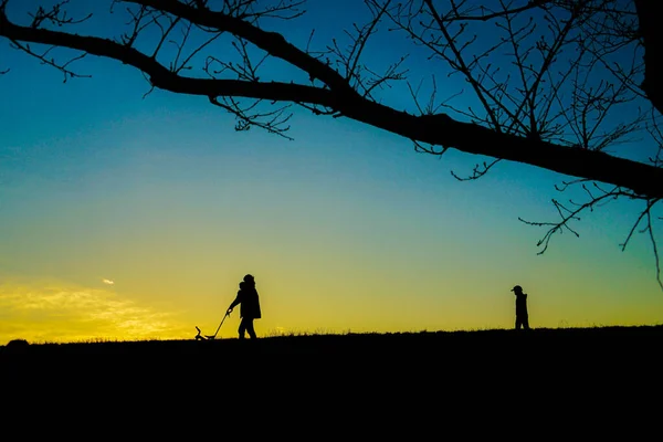 Abendliche Silhouette Des Flussbettes Komae City Drehort Tokio Komae City — Stockfoto