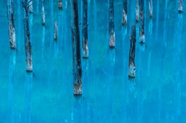 Platin mavi gölet (Hokkaido Biei-cho). Çekim Konumu: Hokkaido Biei-cho