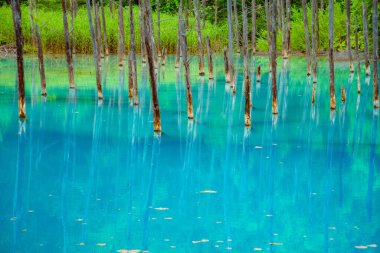 Platin mavi gölet (Hokkaido Biei-cho). Çekim Konumu: Hokkaido Biei-cho