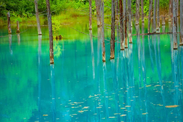 Platinum Blue Pond Hokkaido Biei Cho Shooting Location Hokkaido Biei — Stock Photo, Image