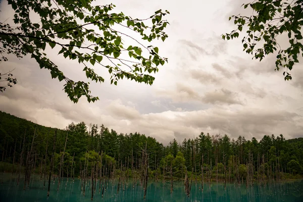 Platinum Blue Pond Hokkaido Biei Cho Shooting Location Hokkaido Biei — Stock Photo, Image