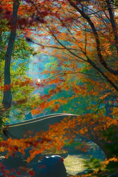 Herbstblätter Und Arisugawa Park Drehort Großraum Tokio — Stockfoto