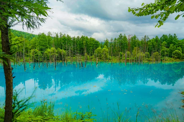 Platinum Blue Pond Hokkaido Biei Cho Shooting Location Hokkaido Biei — Stock Photo, Image