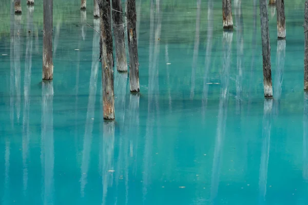 Stagno Blu Platino Hokkaido Biei Cho Luogo Delle Riprese Hokkaido — Foto Stock