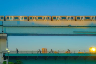 Siyah kafalı martılar ve bisikletle koşan insanlar. Çekim yeri: Tokyo Büyükşehir Bölgesi