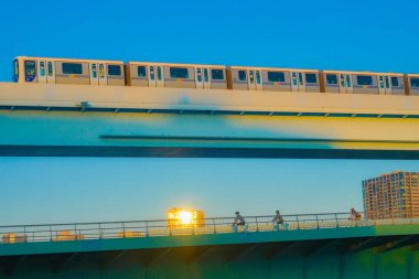 Siyah kafalı martılar ve bisikletle koşan insanlar. Çekim yeri: Tokyo Büyükşehir Bölgesi