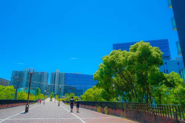 Kwart Van Vroege Zomer Van Tama Center Schietplaats Grootstedelijk Gebied — Stockfoto