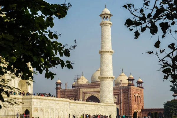 Světového Dědictví Taj Mahal Indie Agra Místo Střelby Indie — Stock fotografie