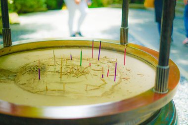 Renkli mercan ve kül görüntüsü. Çekim yeri: Kanagawa Bölgesi Kamakura Şehri