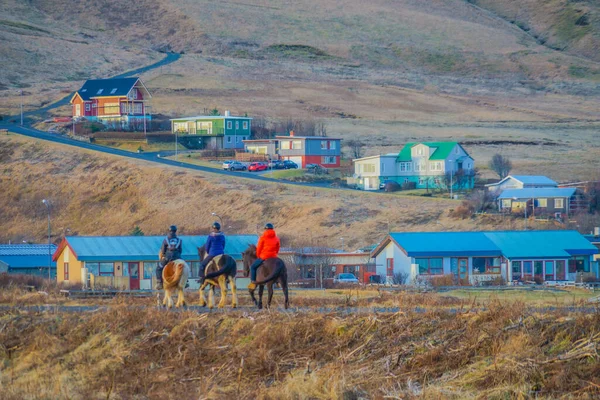 Caballo Caminando Por Costa Hielo Ubicación Del Disparo Islandia — Foto de Stock