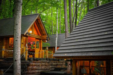 Ormanda dikilen Loca 'nın resmi. Çekim Konumu: Hokkaido Furano