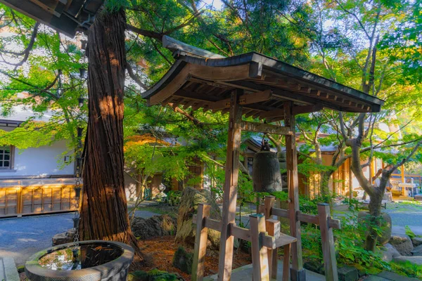 Çemberin Yeni Yeşil Alacakaranlık Işığı Çekim Yeri Kanagawa Bölgesi Kamakura — Stok fotoğraf