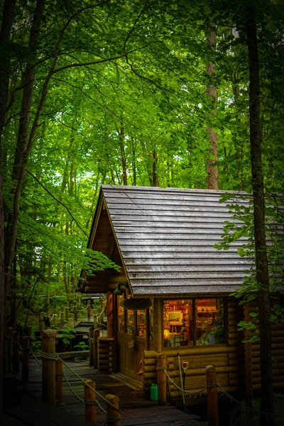 Bild Der Lodge Wald Drehort Hokkaido Furano — Stockfoto
