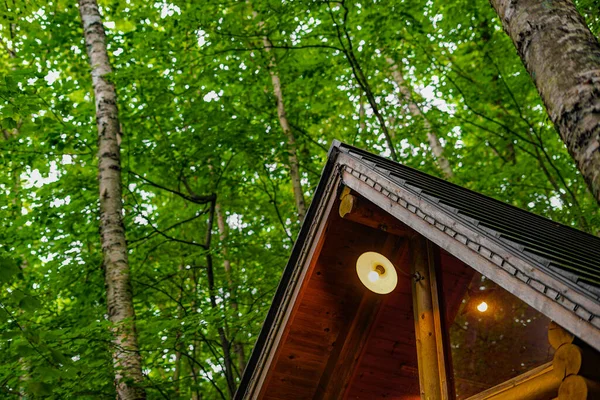 Immagine Lodge Piedi Nella Foresta Luogo Delle Riprese Hokkaido Furano — Foto Stock