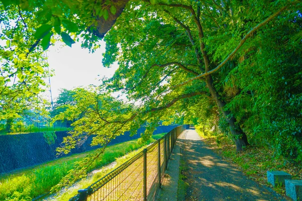 Broadley Green Road Park Stad Tachikawa Schietplaats Tachikawa City Tokio — Stockfoto