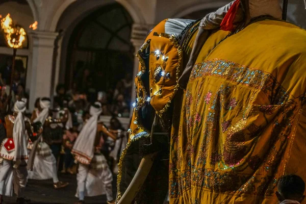 Festiwal Esara Perahera Sri Lanka Candy Miejsce Fotografowania Sri Lanka — Zdjęcie stockowe